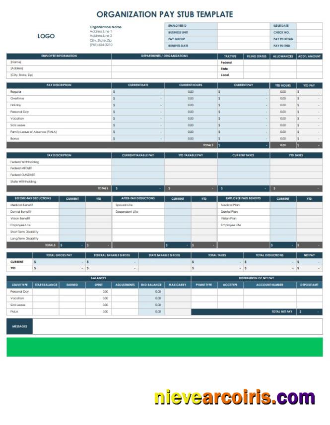 Organization Pay Stub